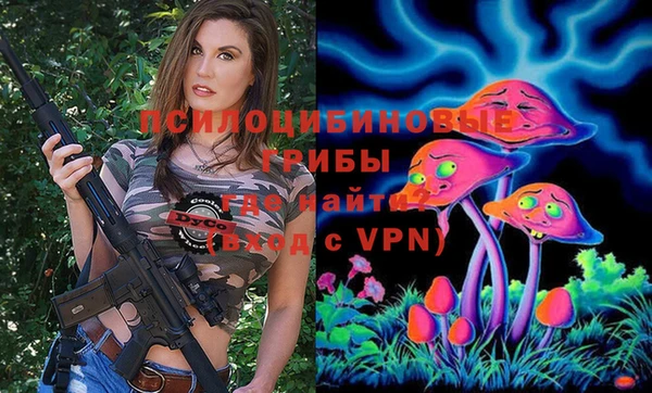 MDMA Premium VHQ Ладушкин