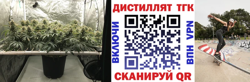 Купить закладки Баймак Дистиллят ТГК THC oil